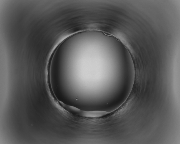 X0000088170955200705221619