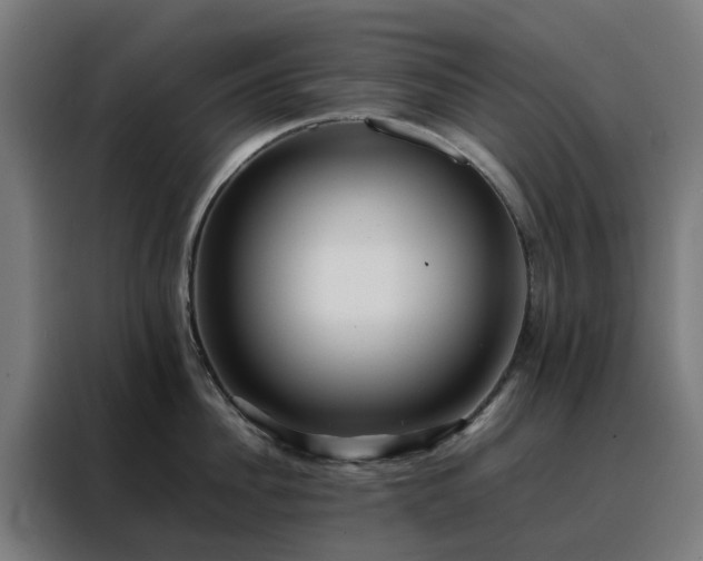 X0000088170956200705221619