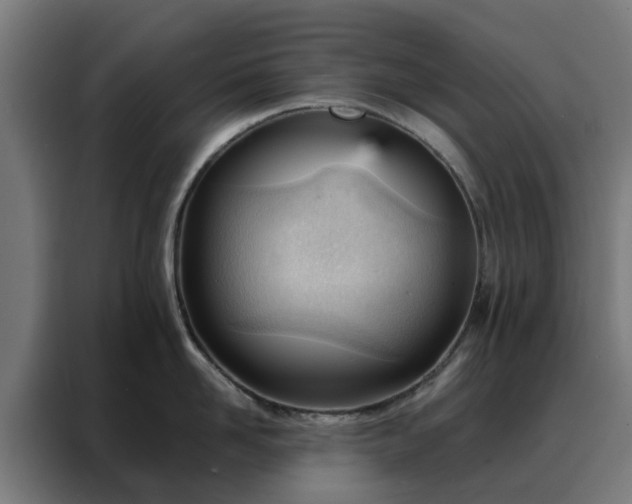 X0000088170958200705221619