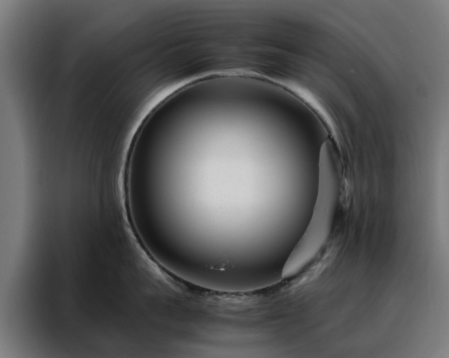 X0000088170959200705221619