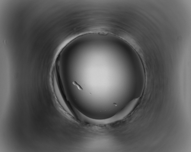 X0000088170960200705221619