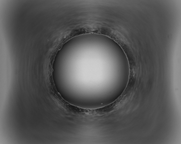 X0000088170961200705221618