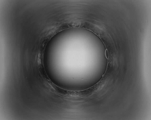 X0000088170962200705221618