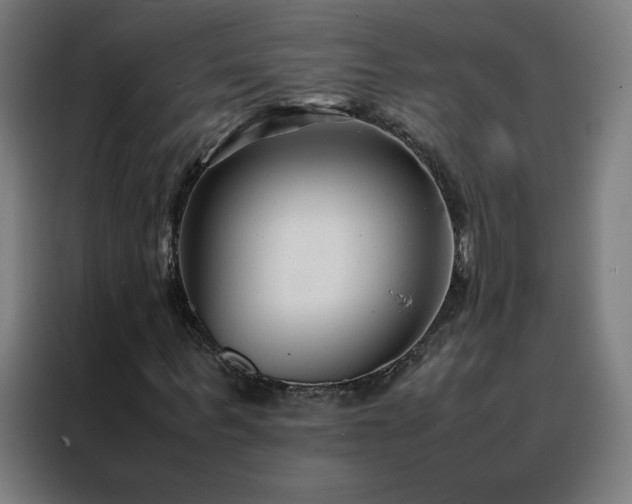 X0000088170963200705221618