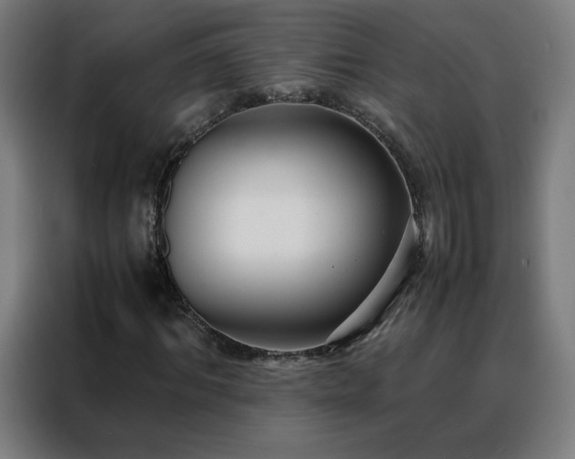 X0000088170964200705221618