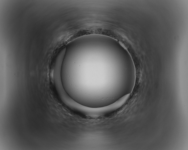 X0000088170965200705221618