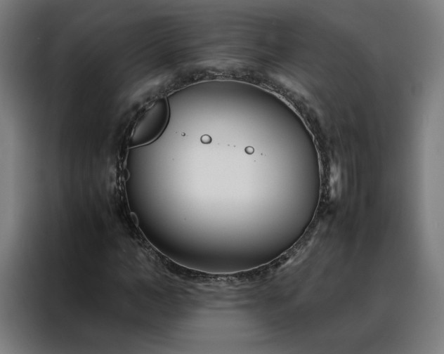 X0000088170966200705221618