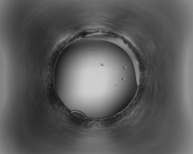 X0000088170967200705221618