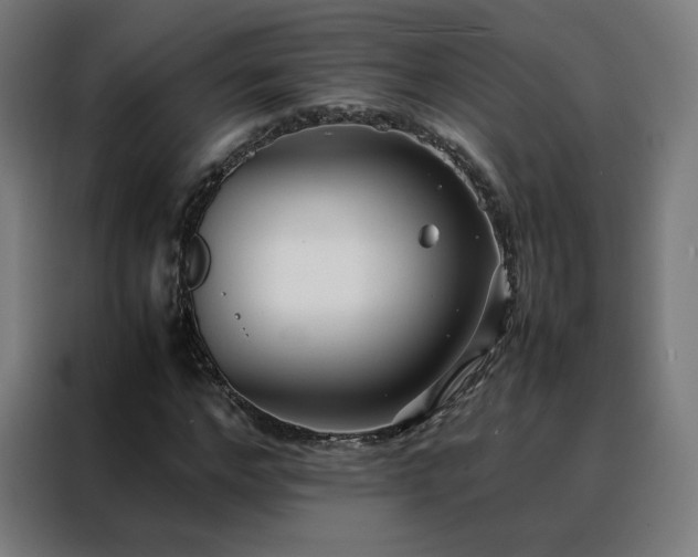 X0000088170968200705221618