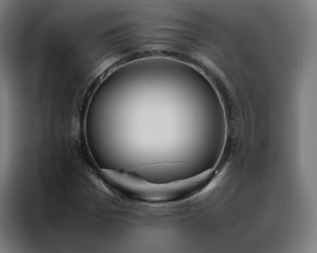 X0000088170969200705221618