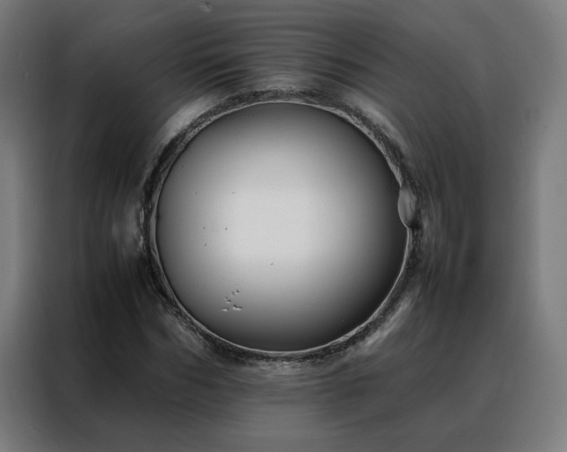 X0000088170970200705221618