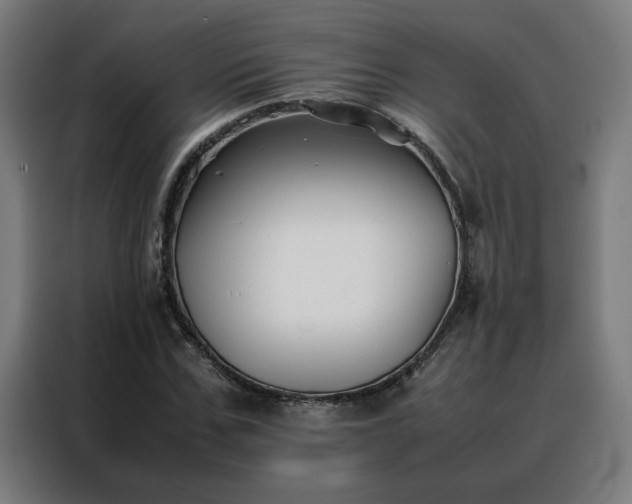 X0000088170971200705221618