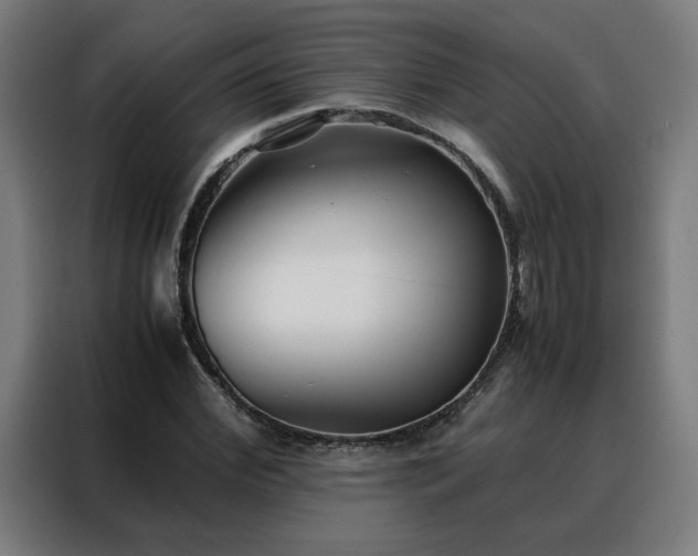 X0000088170972200705221618