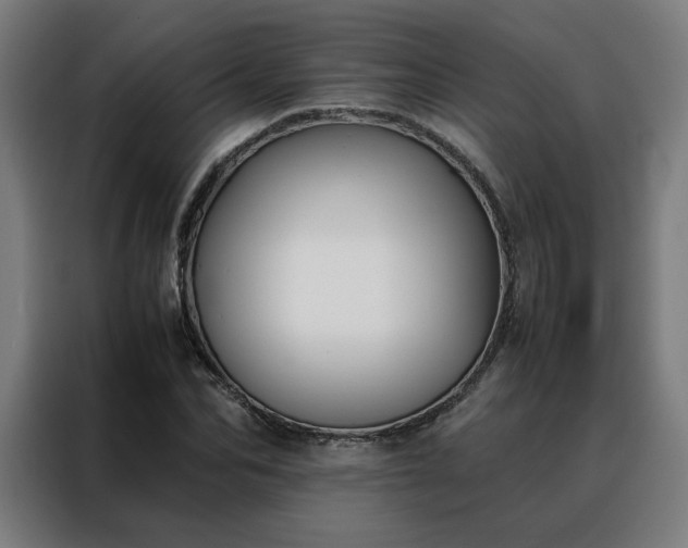 X0000088170974200705221618