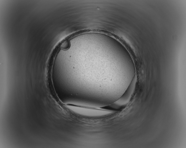 X0000088170975200705221618