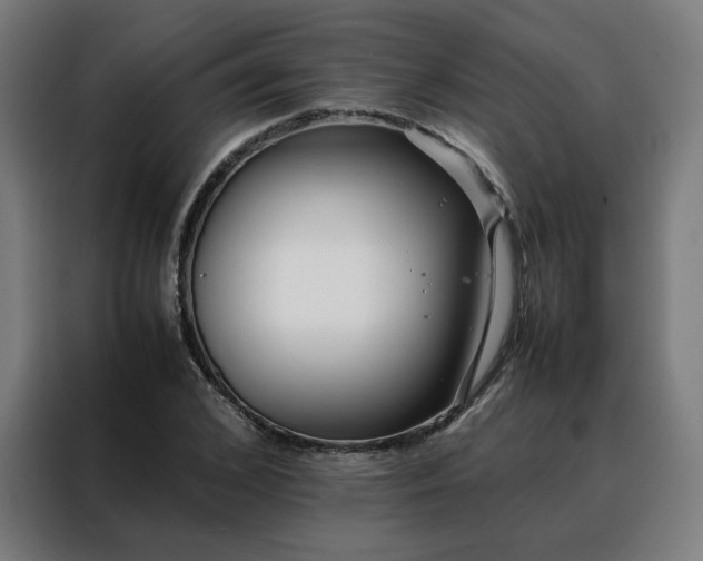 X0000088170976200705221618