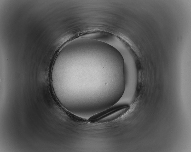 X0000088170977200705221618