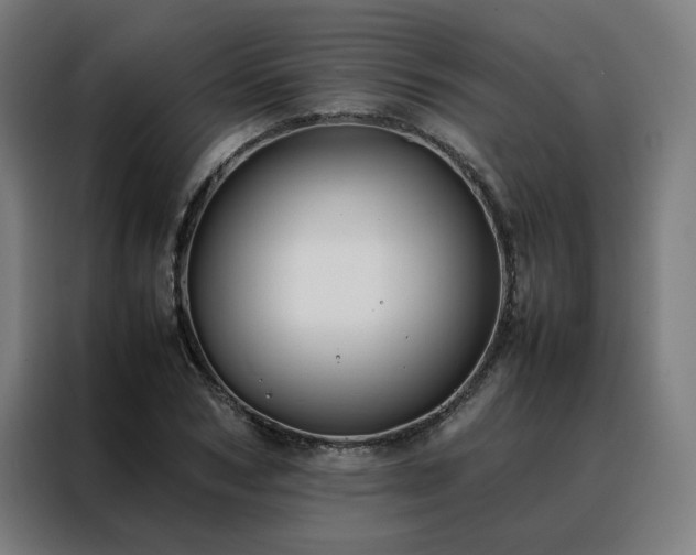 X0000088170978200705221618