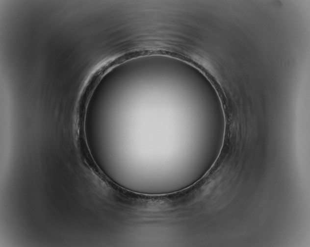 X0000088170979200705221618