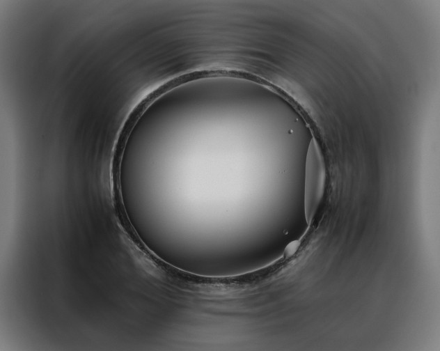 X0000088170980200705221618