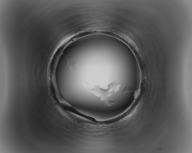 X0000088170981200705221618