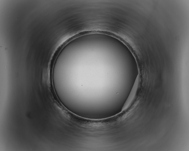 X0000088170982200705221618