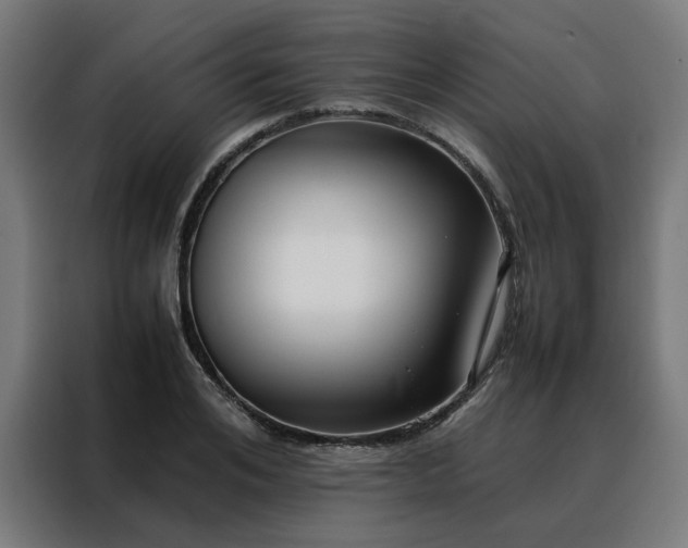 X0000088170984200705221618