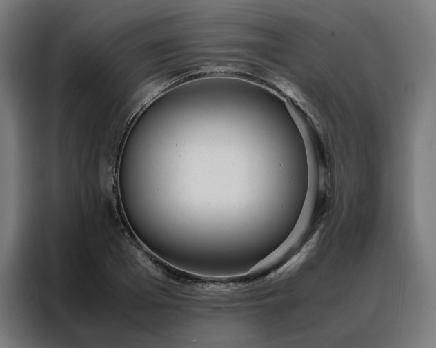 X0000088170985200705221618