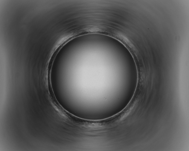 X0000088170986200705221618