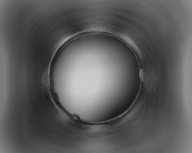 X0000088170988200705221618