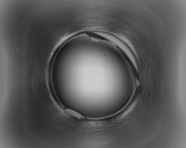 X0000088170989200705221618