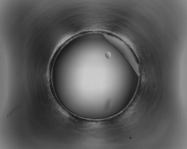 X0000088170990200705221618