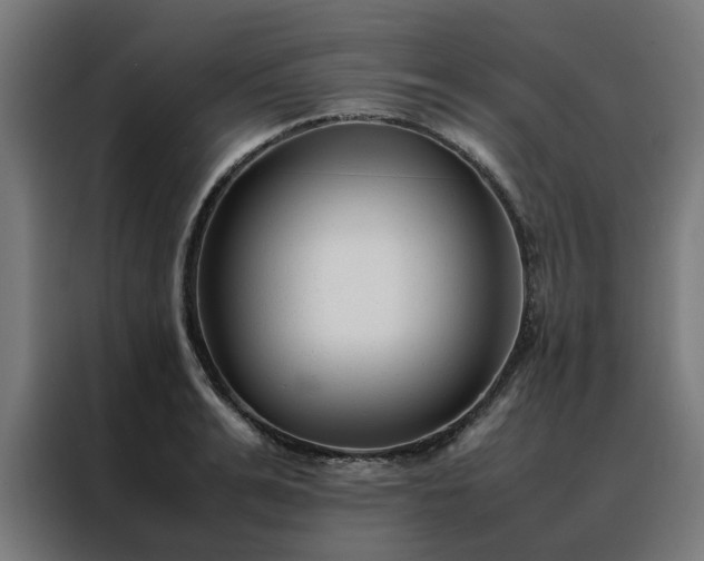 X0000088170991200705221618