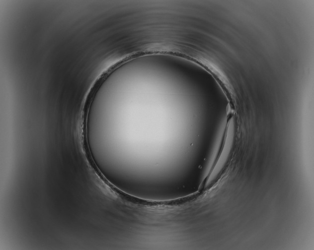 X0000088170992200705221618