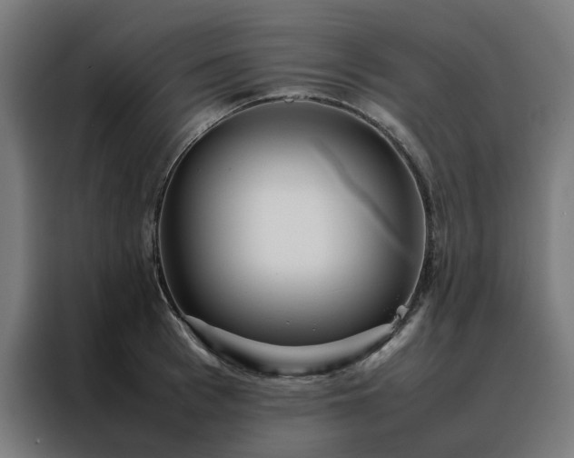 X0000088170993200705221618