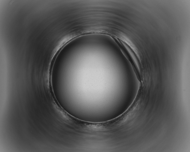 X0000088170994200705221618