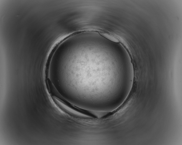 X0000088170995200705221618