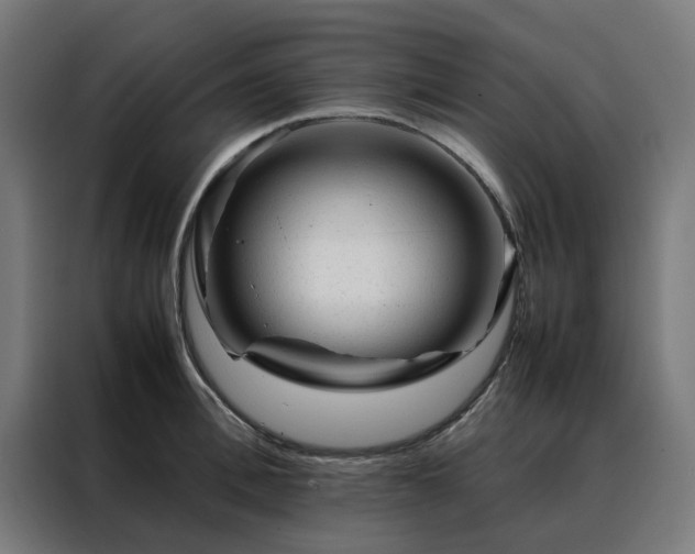 X0000088170996200705221618