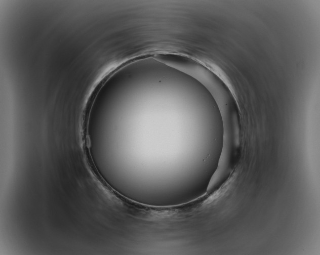 X0000088170997200705221618