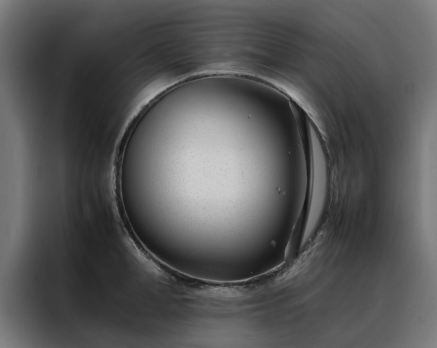 X0000088170998200705221618