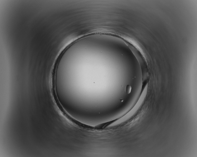 X0000088170999200705221618