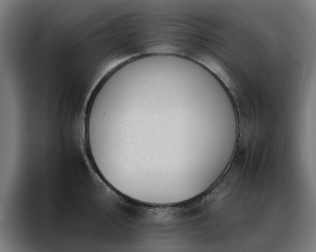 X0000088171000200705221618