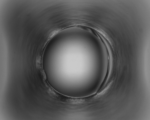 X0000088171001200705221618