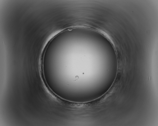 X0000088171003200705221618