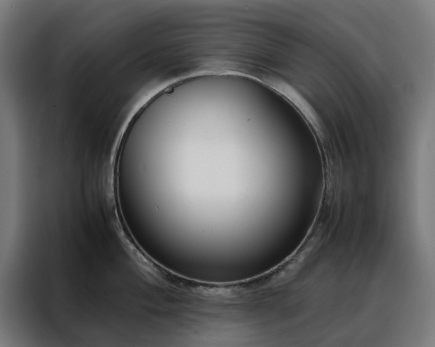 X0000088171004200705221618