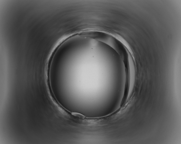 X0000088171005200705221618