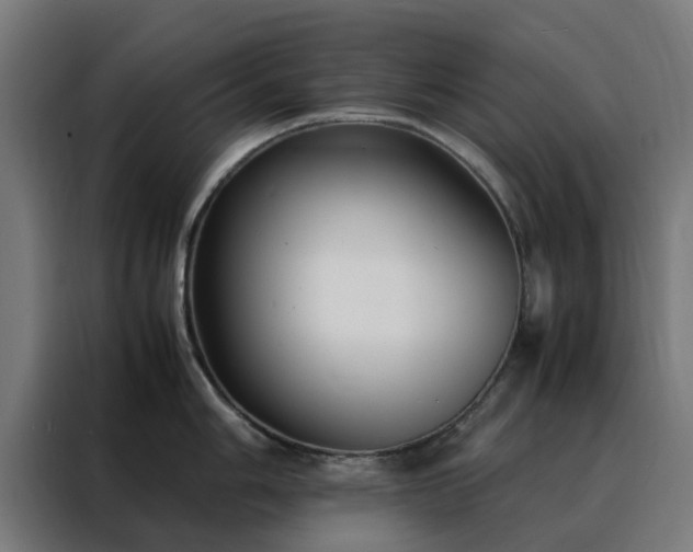 X0000088171006200705221618