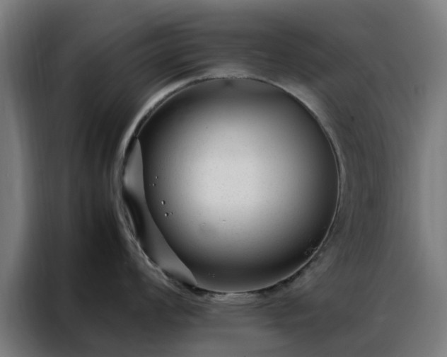 X0000088171008200705221618