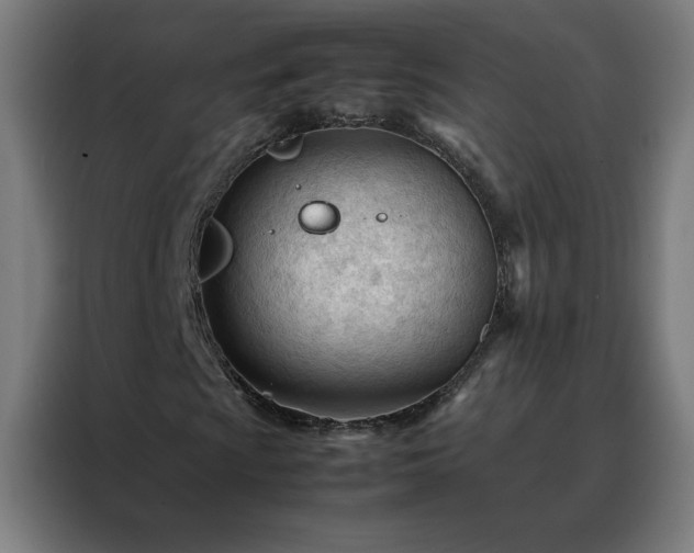 X0000088171009200705221617