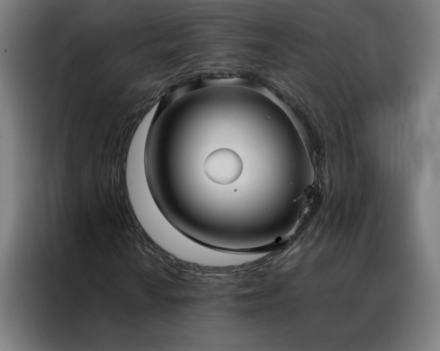 X0000088171010200705221617